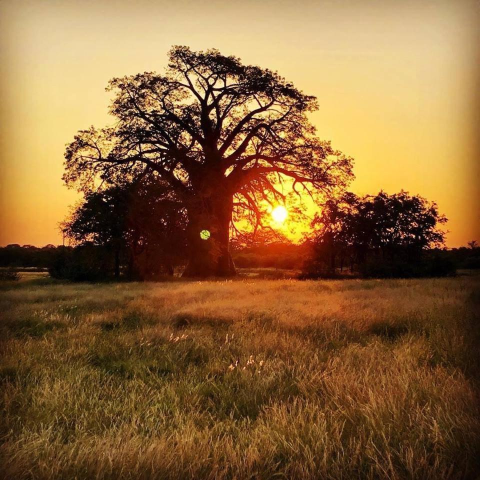 Munati B&B Musina Buitenkant foto